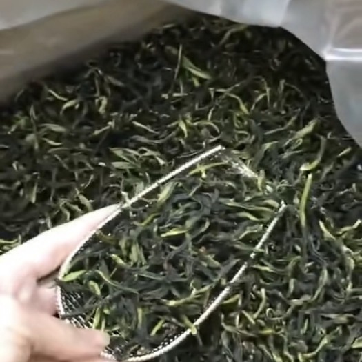 恩平市乌龙茶 单丛茶