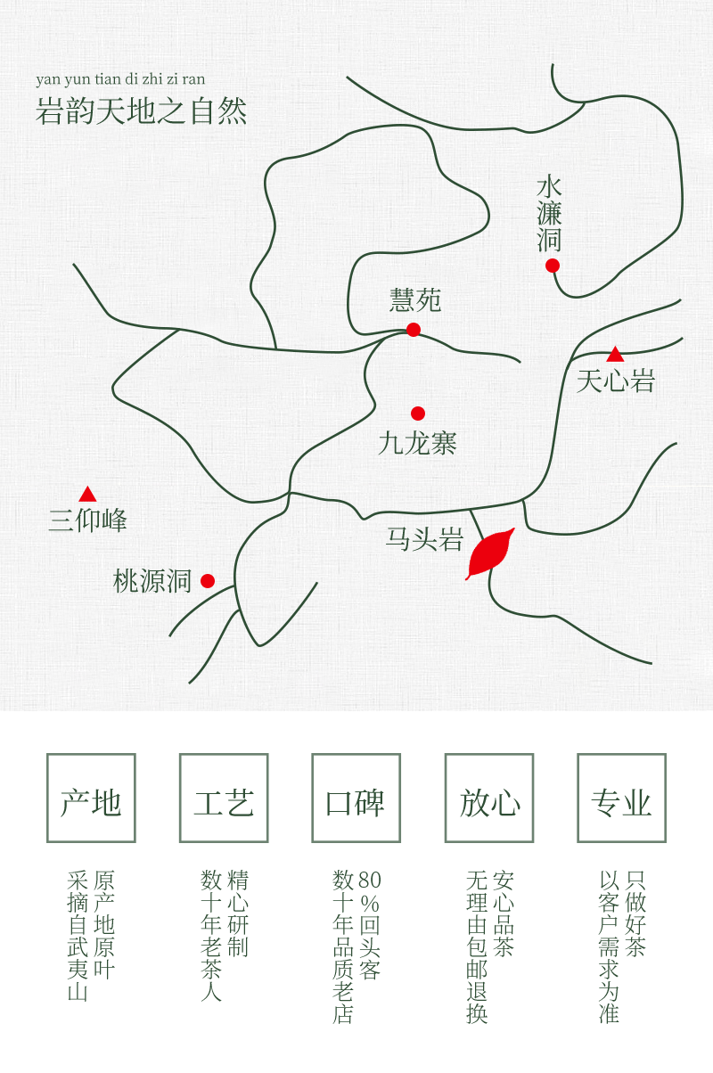 岩茶  一盒代发高山肉桂茶叶50g礼盒装送礼酒店商务碳焙武夷肉桂