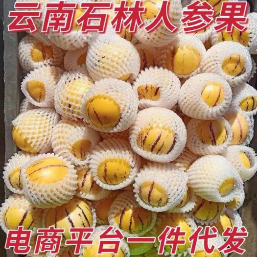 石林县云南石林人参果 支持一件代发（专业代发平台）