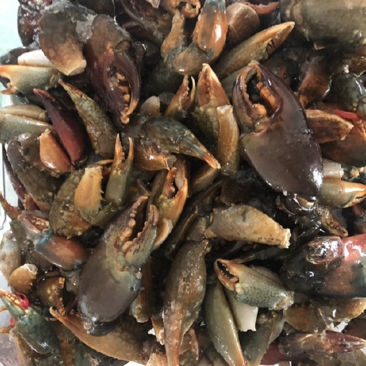 上海青蟹 蟹脚