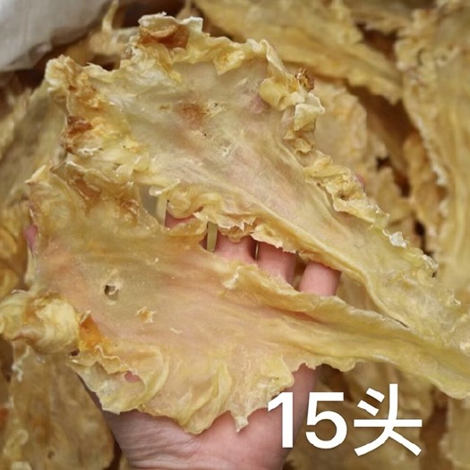 广州鳕鱼胶规格齐全货源稳定长期供应花胶鸡汤火锅店价格实惠质量稳定