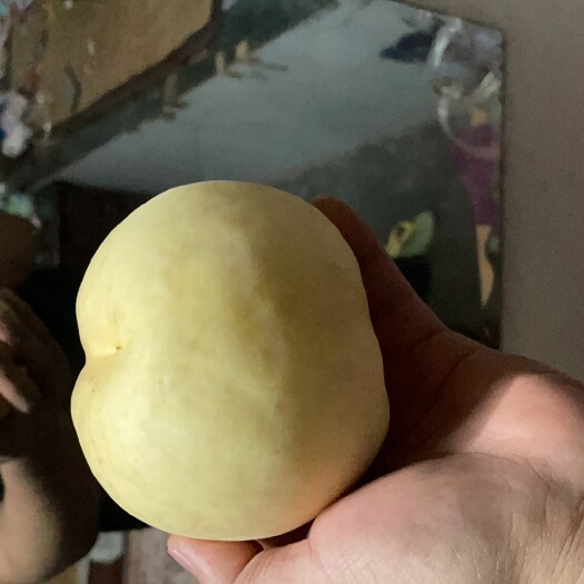澄城县毛桃。白桃