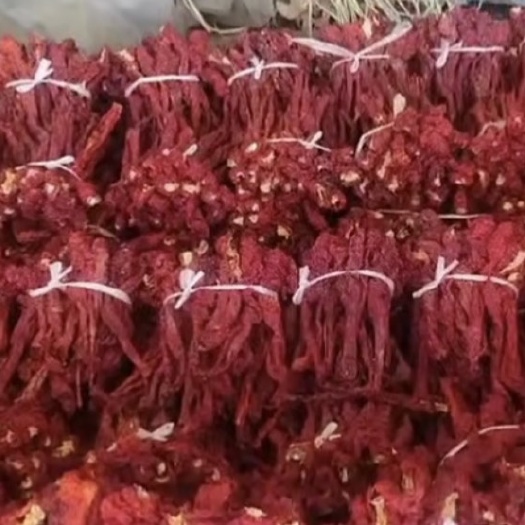 小辣椒  新疆猪大肠  皱皮椒 干辣椒 螺丝椒