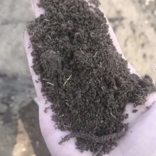 合浦县纯牛粪养殖蚯蚓粪，育苗