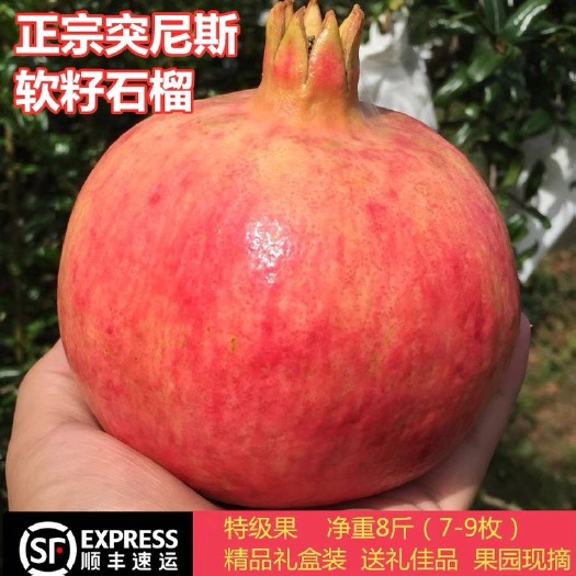 会理市正宗四川会理软籽石榴 每天现摘现发