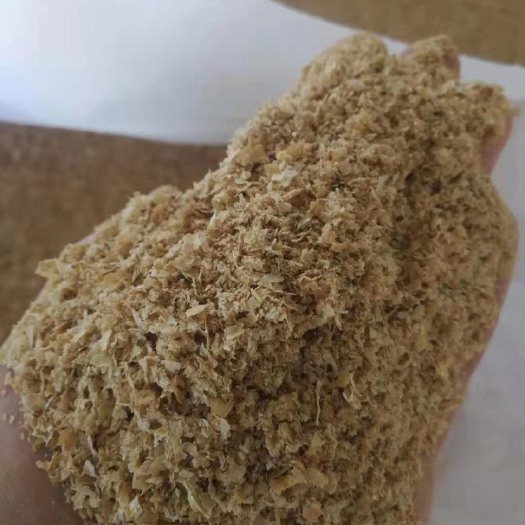 保定小麦麦麸