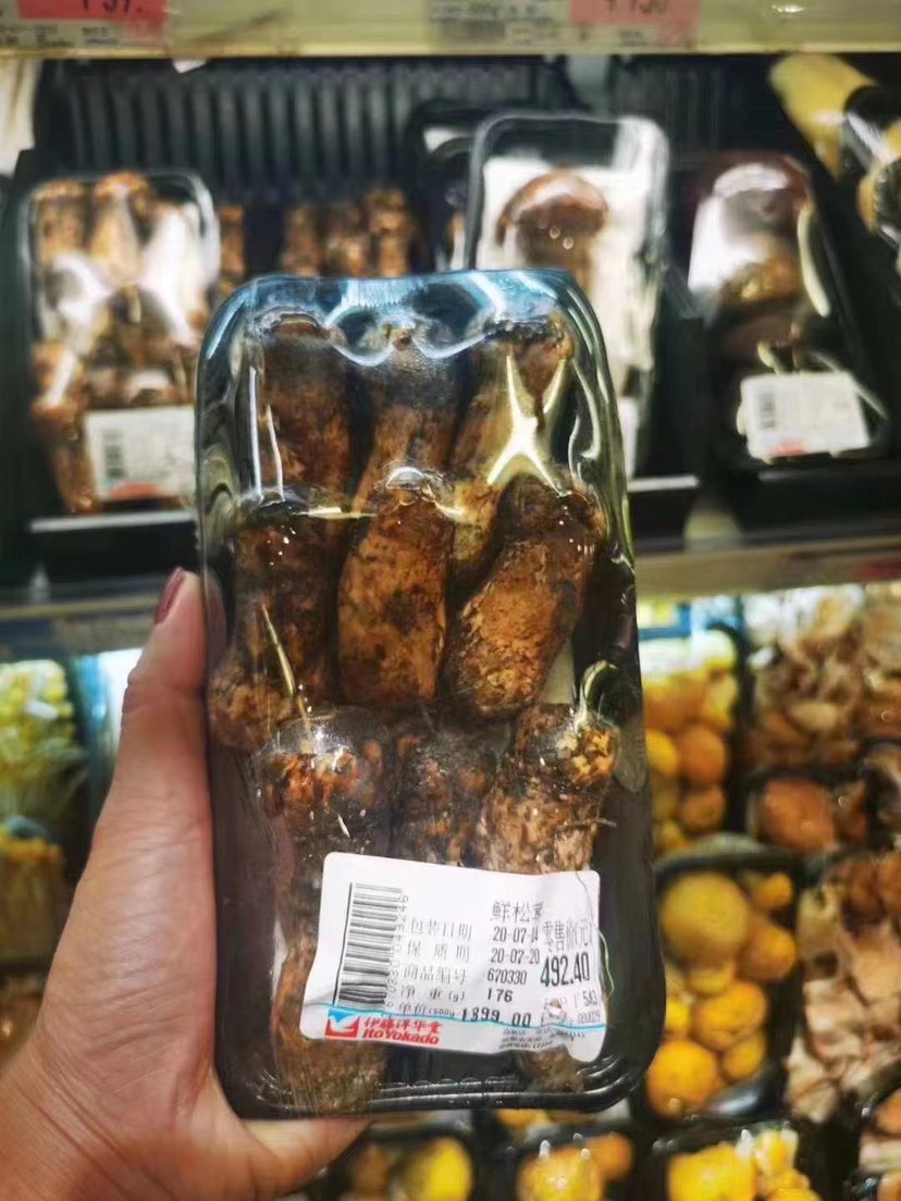 鲜松茸 没有对比就没有伤害、这新鲜度和价格已经绝了、