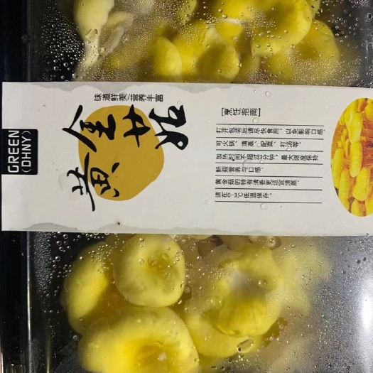 广州新鲜黄金菇 鸡油黄 鸡油菇 鸡油菌 榆黄菇