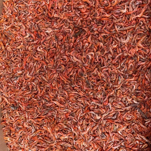 九江虾干  小河虾烘干河虾小红虾无盐河虾