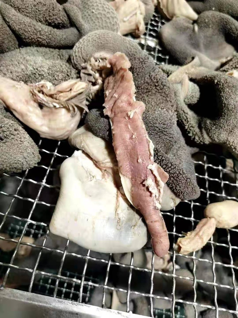国产熟羊肚，清水煮制，火锅饭店优选食材，切杂适用。