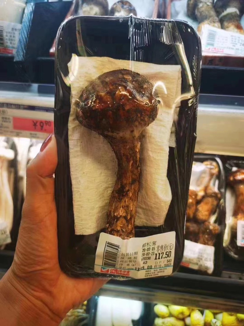 鲜松茸 没有对比就没有伤害、这新鲜度和价格已经绝了、