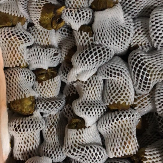 成都黑牛肝菌