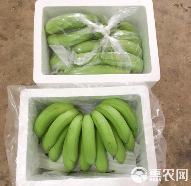 香蕉威廉斯香蕉巴西香蕉高山香蕉应季水果整箱包邮净重5斤/9斤