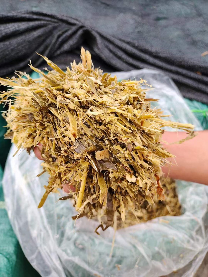 玉米秸秆揉丝压块草 牛羊饲料