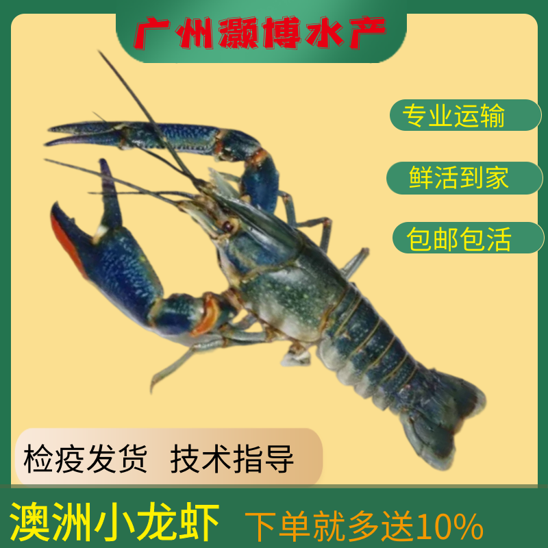 ݰ޵ˮϺ
