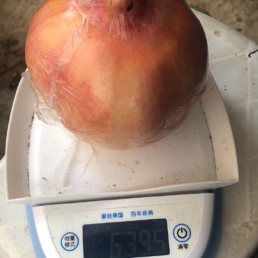 蒙自市红石榴 石榴