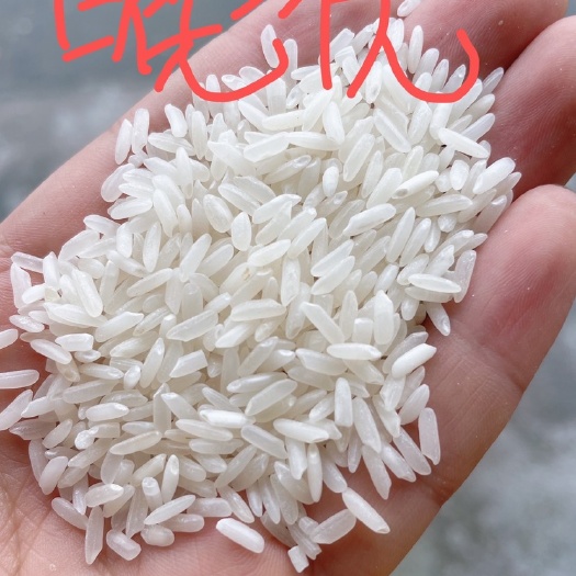 衢州晚籼米厂家直销食堂经销商可联系