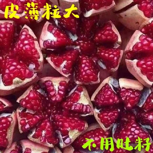 姚安县 云南姚安突尼斯软籽石榴