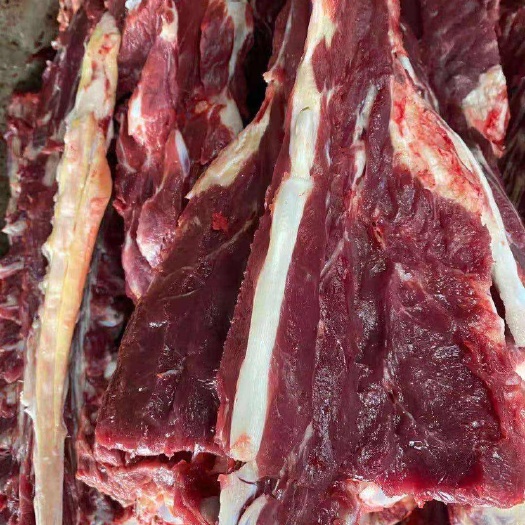 肉驴 驴脊骨