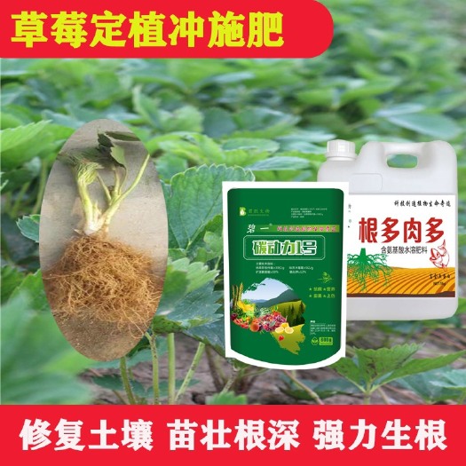 郑州叶面肥  促生根提品质修复土壤氨基酸冲施肥根多肉多抗寒抗抗旱