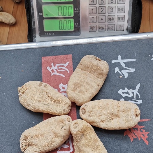 吉林市天麻 人工麻，质量好，个头大