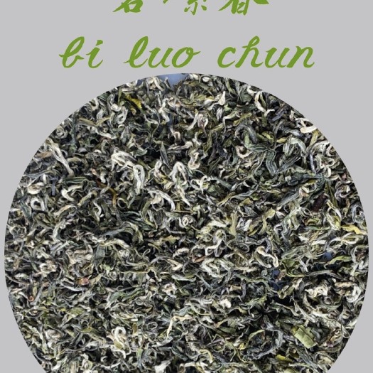 松溪县 碧螺春 产地直发 批发合作