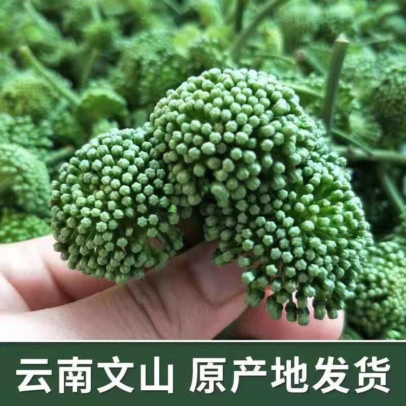 文山市【文山三七花】中药材头茬无硫三七花手选短柄三七花当季新花包邮
