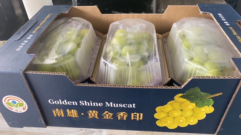 南雄市阳光玫瑰 正宗晴王·黄金相印