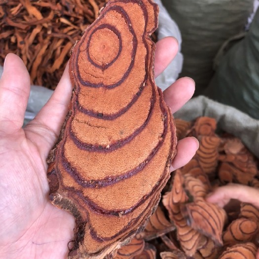 玉林 鸡血藤中药材广西十万大山鸡血藤干片泡酒煲汤1斤包邮