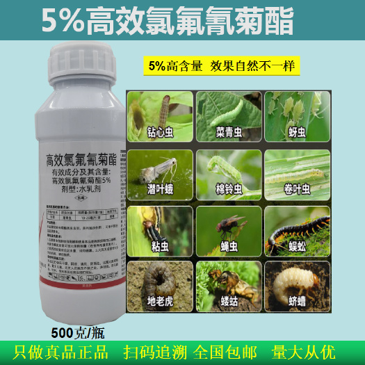荥阳市5%高效氯氟氰菊酯菜青虫食心虫茶小绿叶蝉地蛆等害虫