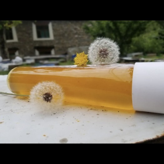 理县百花蜜  中蜂蜜