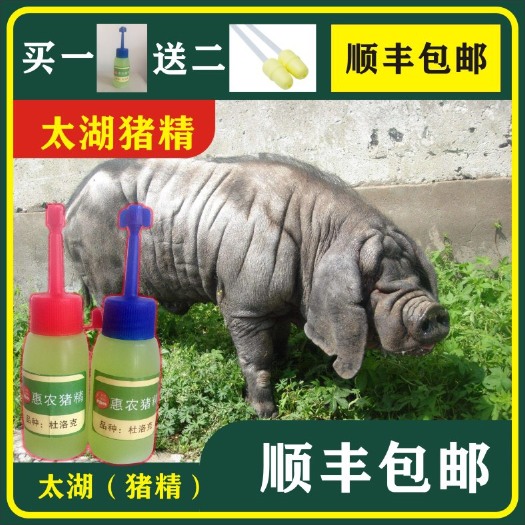 琼海市混合型饲料添加剂  【太湖猪精】梅山太湖猪精、二花脸太湖猪精、猪人工授精