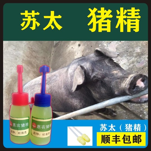 混合型饲料添加剂  【苏太猪精】配种、苏太猪、猪精配种、猪人工受精
