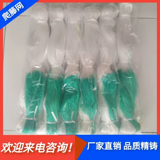 无棣县爬藤网蔬菜大棚专用攀爬网
