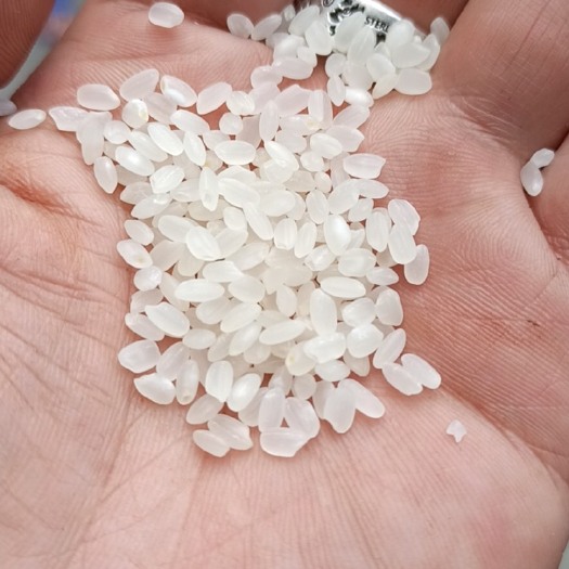 优质珍珠米2块包邮包票包有包装