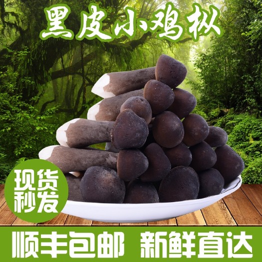 滕州市鸡枞菌  产地直发新鲜鸡纵菌一二三级