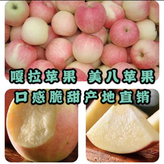 潍坊潍坊嘎啦苹果，旮旯苹果，颜色好，果子大，山东嘎拉苹果，