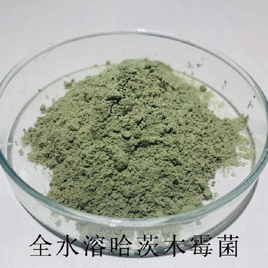 江门土壤微生物菌剂  哈茨木霉菌全水溶20亿每克 有效预防各种真菌性病害