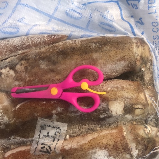 连云港 大鱿鱼，一条在一斤左右，适合铁板鱿鱼