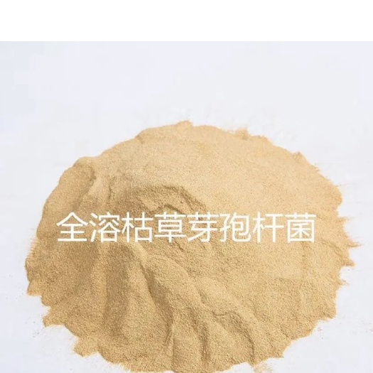 江门枯草芽孢杆菌200亿每克全水溶 肥料添加增效促进生根生长