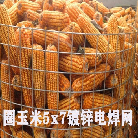 安平县电焊网镀锌玉米网养殖鸡鸭围栏网铁丝网抹墙防裂网玉米笼粮仓网家