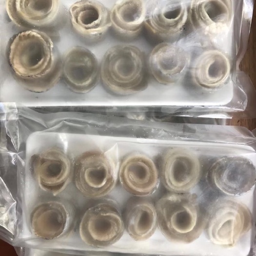 乳山市 剔骨剔刺去内脏，纯肉刀鱼卷，半成品，做菜更便捷