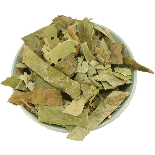 紫阳县 干  枇杷叶