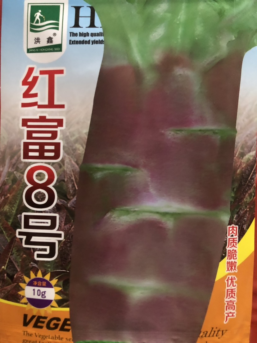 平远县红莴笋种子 红富8号 肉色翠绿 香味浓 茎粗大 耐寒性强