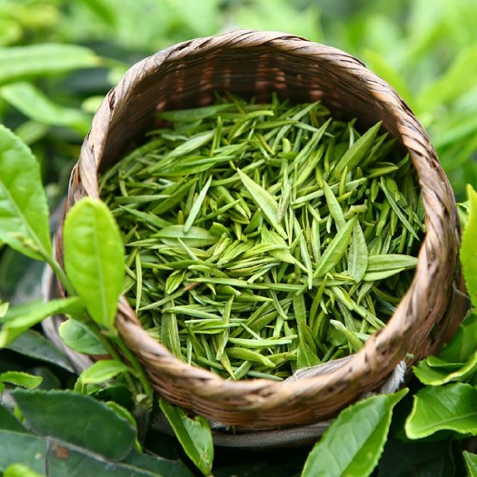 邛崃市蒙顶绿茶，自家种植，欢迎订购，包邮