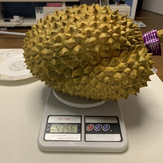 北京 金枕榴莲，一件代发