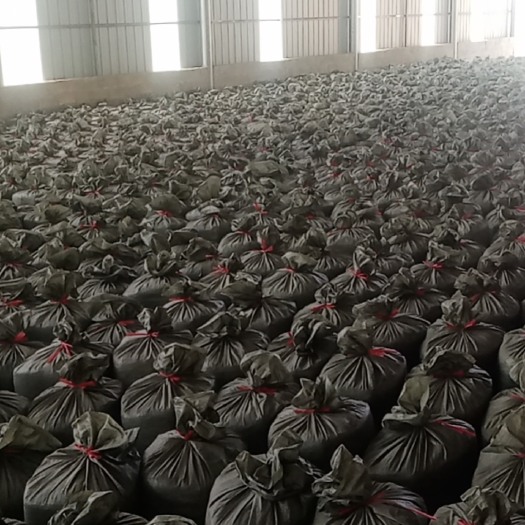 靖西市青储草 含水量好