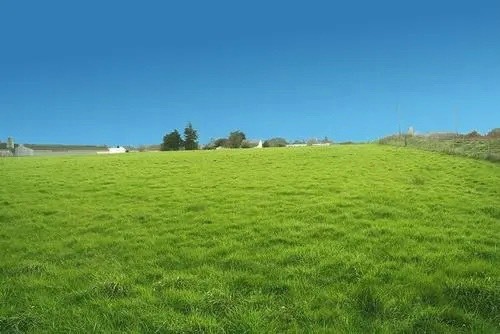 开鲁县畜牧养殖用地  出租草场