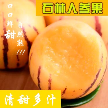石林彝族自治县（精品礼盒）云南石林人参果，产地直销，代发，供货稳定
