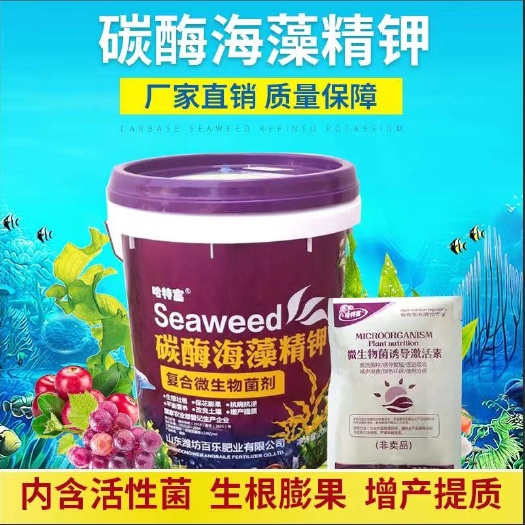 青州市微生物菌剂  碳酶海藻精钾，生根壮苗，保花膨果，平衡营养，